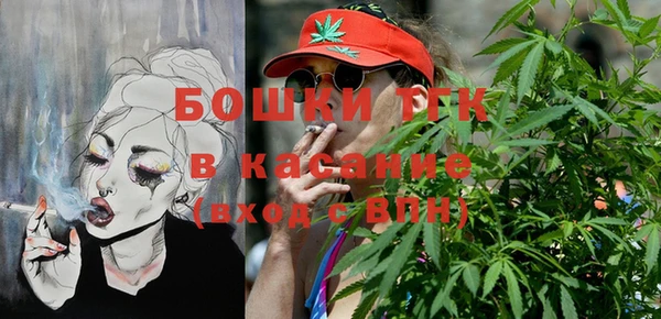 PSILOCYBIN Волосово