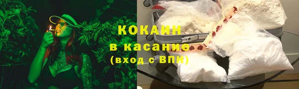 PSILOCYBIN Волосово