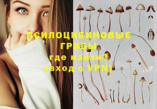 PSILOCYBIN Волосово
