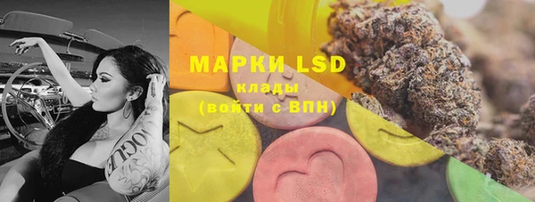 PSILOCYBIN Волосово