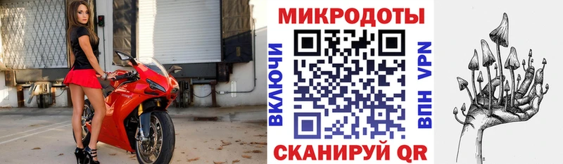 Галлюциногенные грибы Psilocybe  продажа наркотиков  Мытищи 